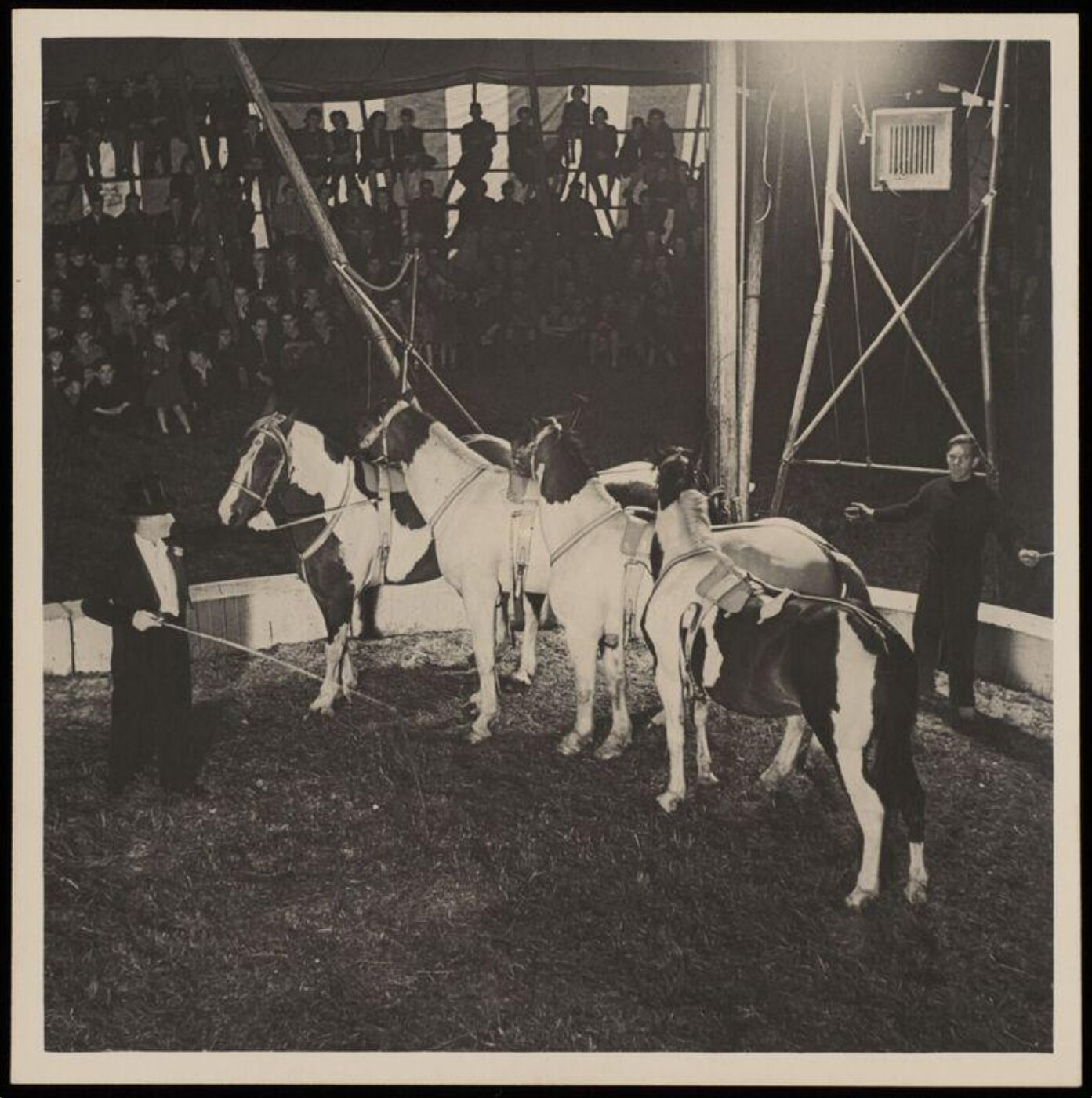 Hinde, John Wilfrid, circus act with four horses