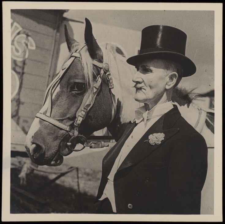 portrait of a circus member and a horse top image