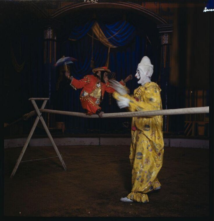 clown with chimpanzee on a tightrope top image