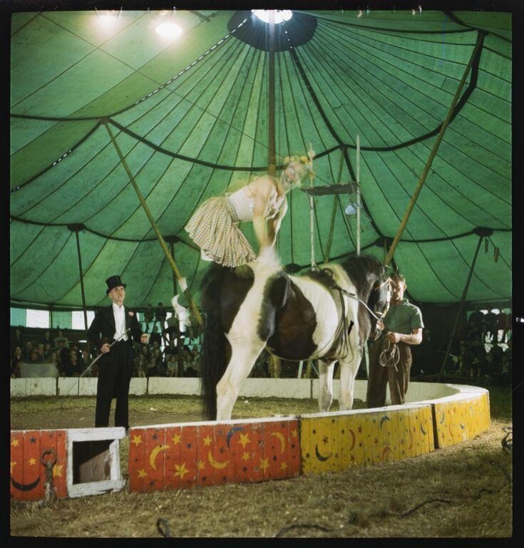 Clown performing on a horse top image