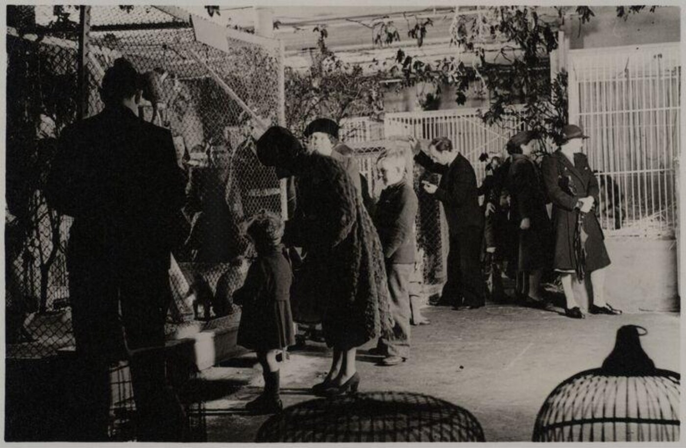Hinde, John Wilfrid, view of a group of visitors in a zoo