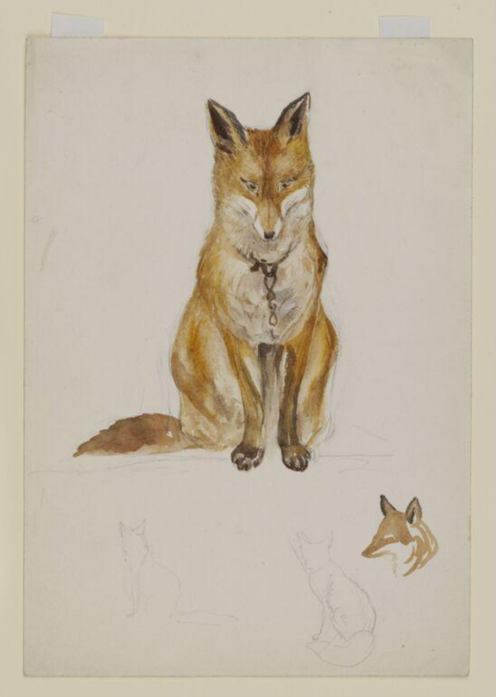 Watercolour, Beatrix Potter, late 19th century