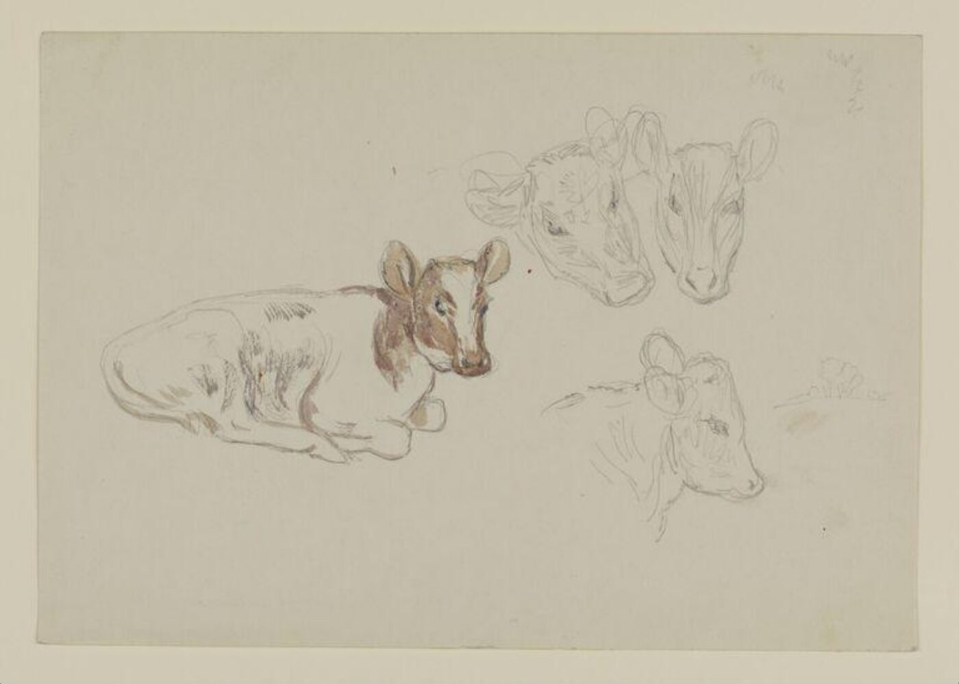 Potter, Beatrix, Drawing