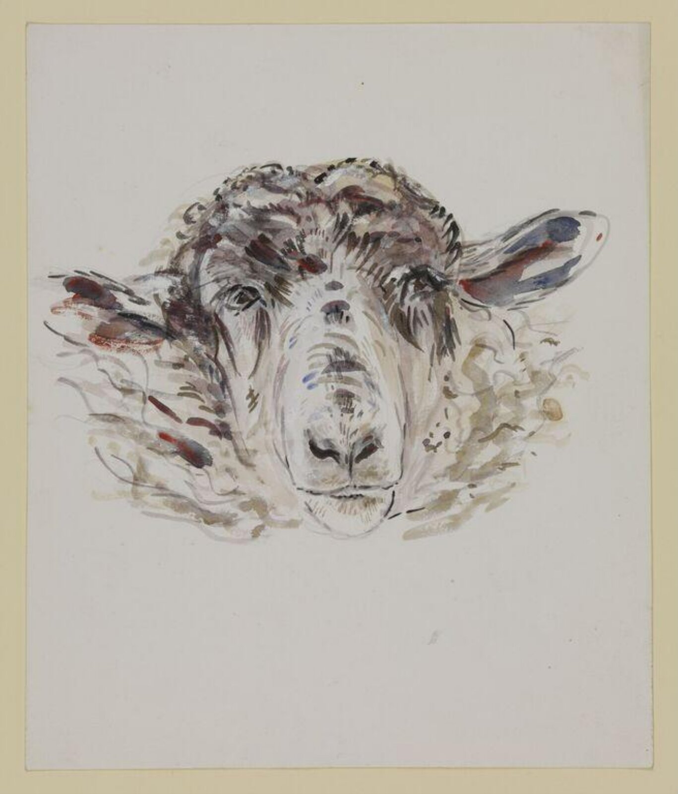 Study of a sheep's head, Beatrix Potter, ca. 1905-1913