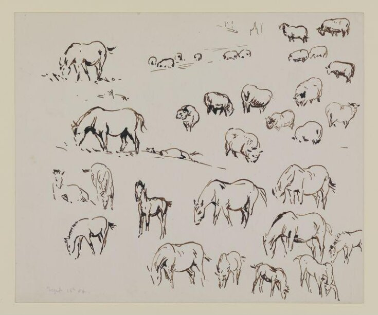 Studies of sheep and horses top image
