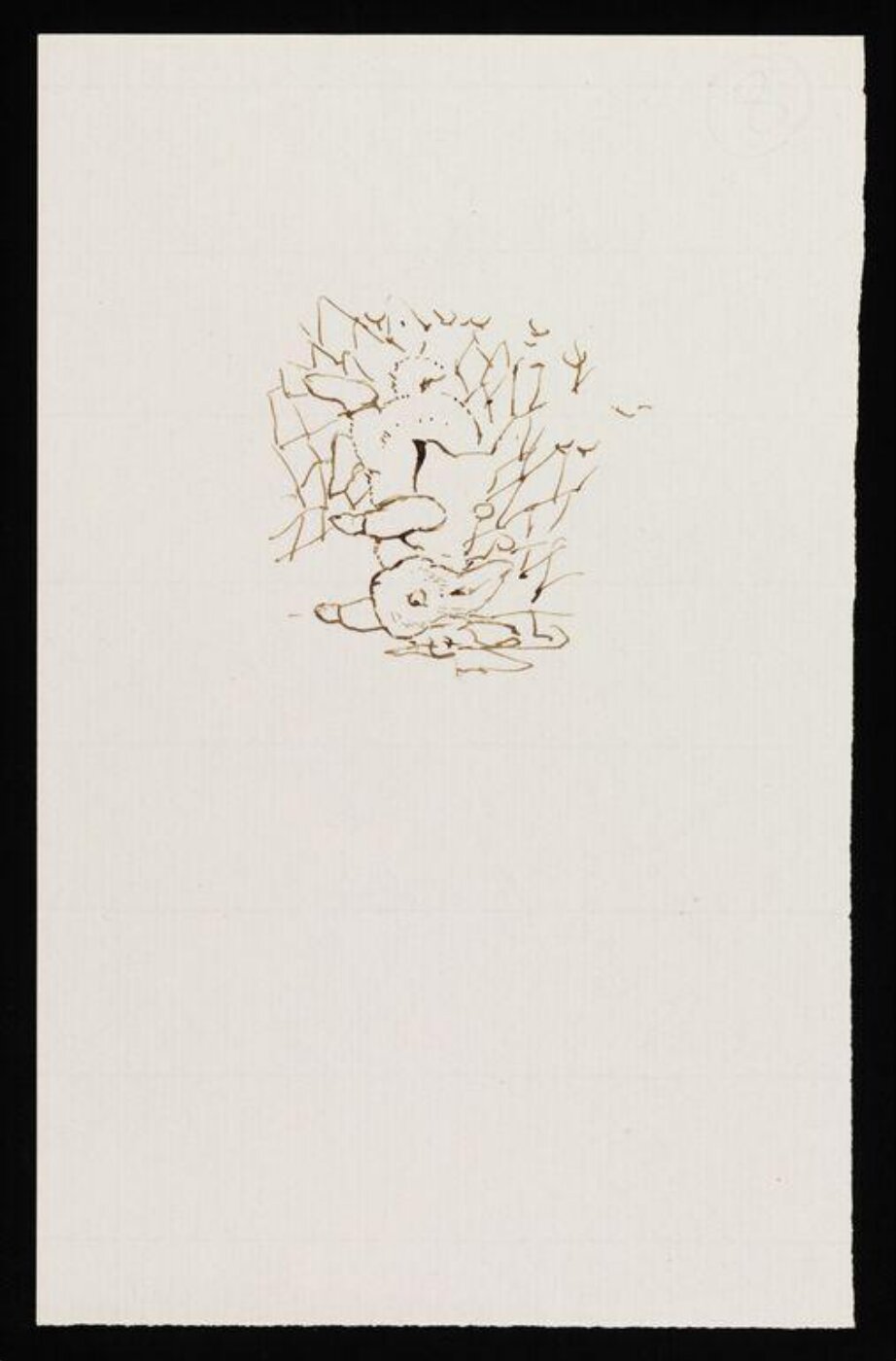 Potter, Beatrix, drawing