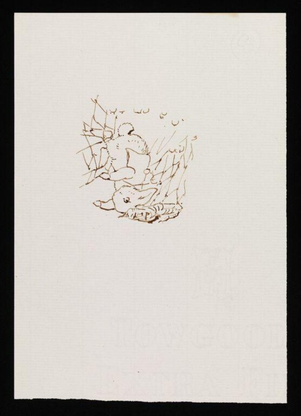 Potter, Beatrix, drawing
