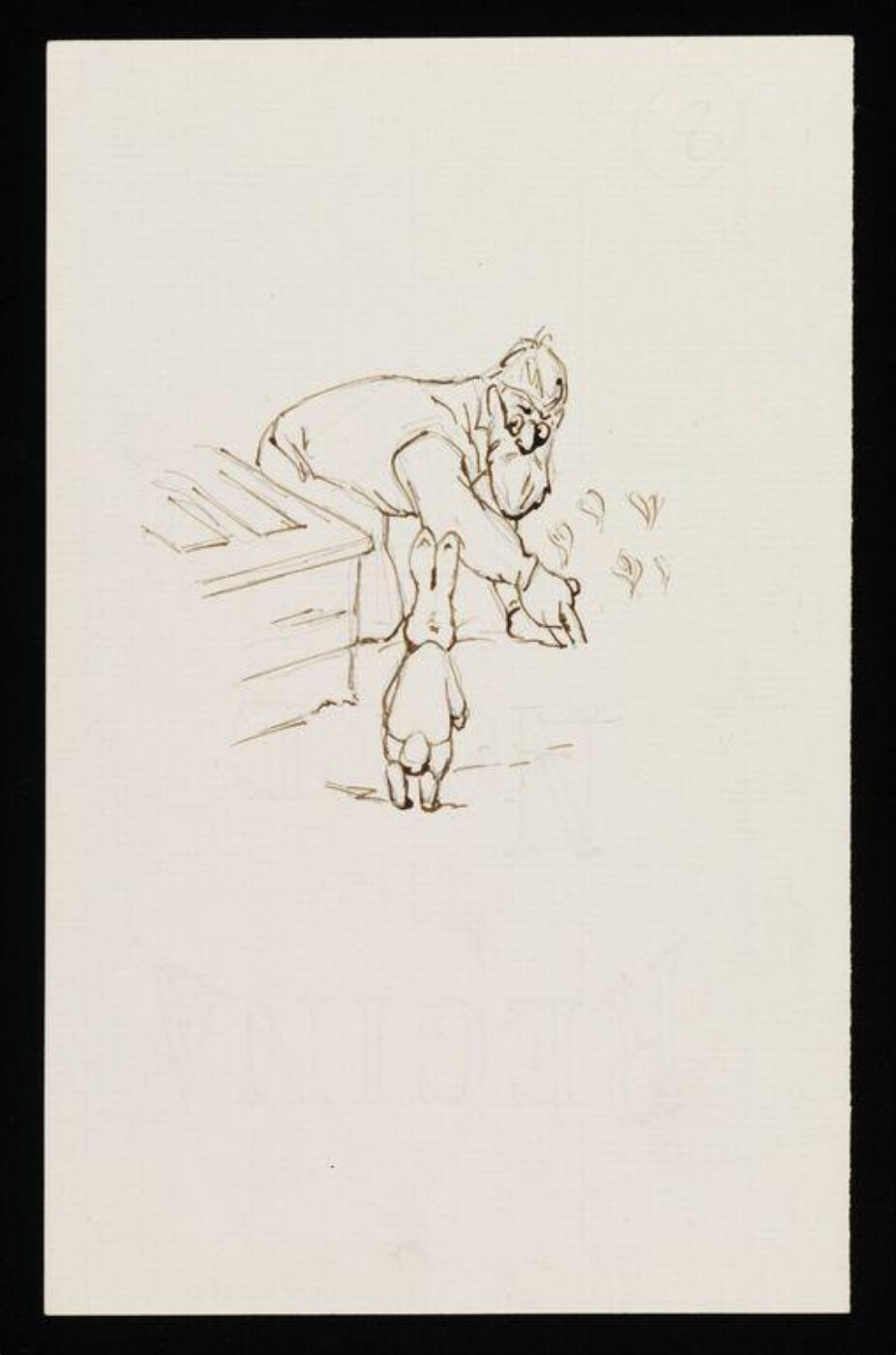 Potter, Beatrix, drawing