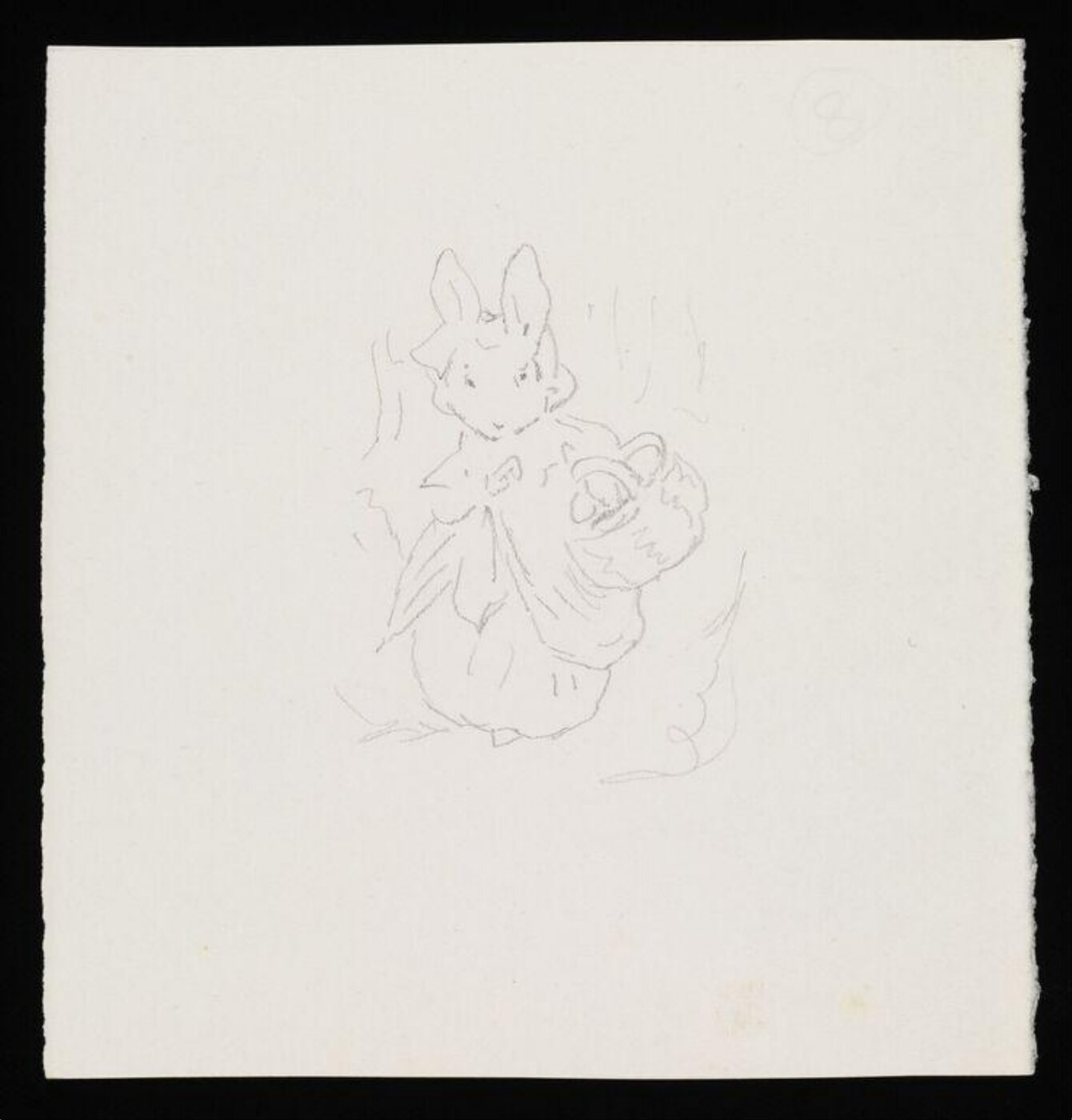Potter, Beatrix, drawing