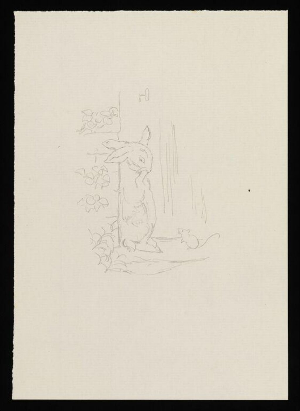 Potter, Beatrix, drawing