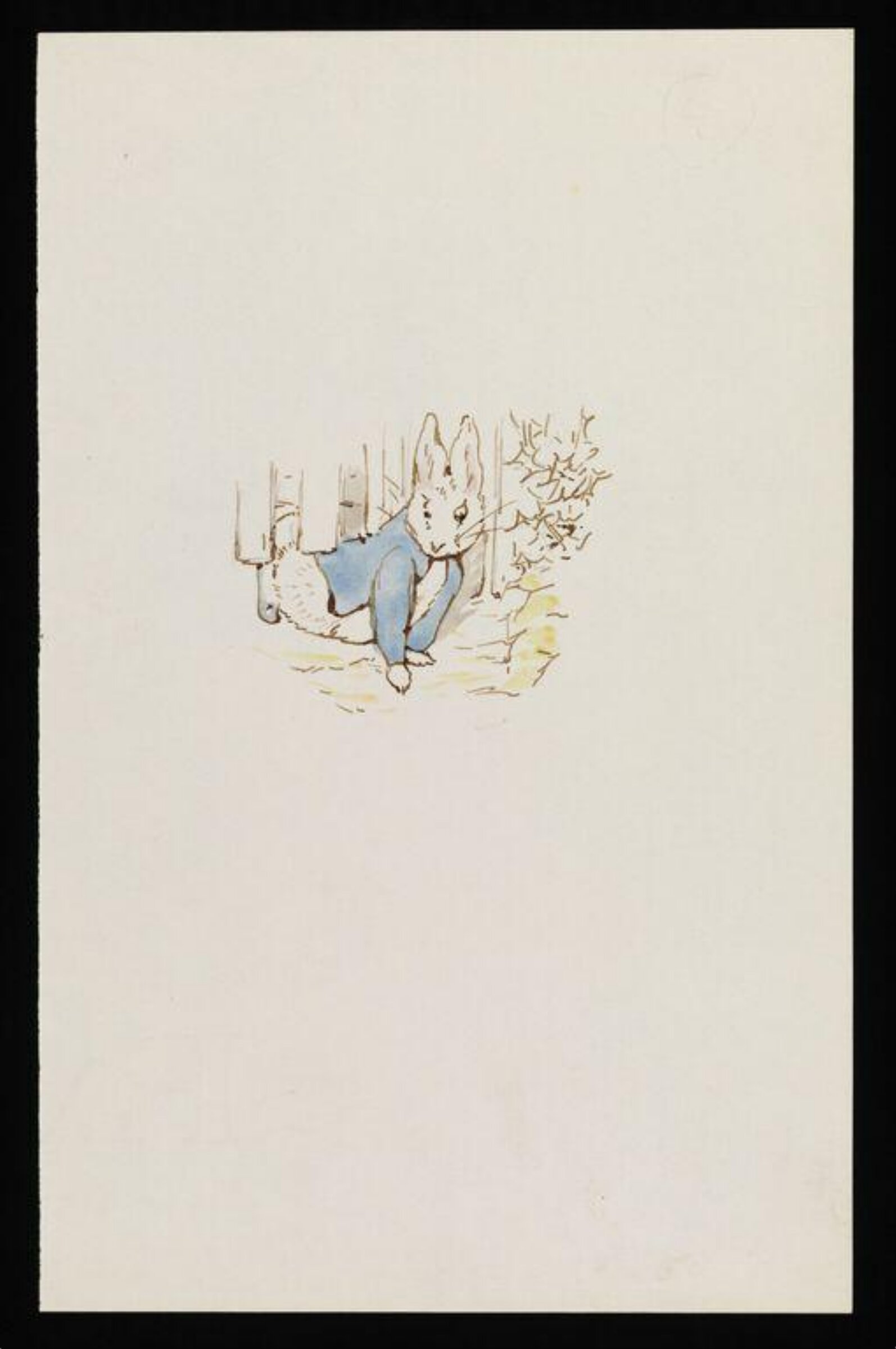 Watercolour, Beatrix Potter