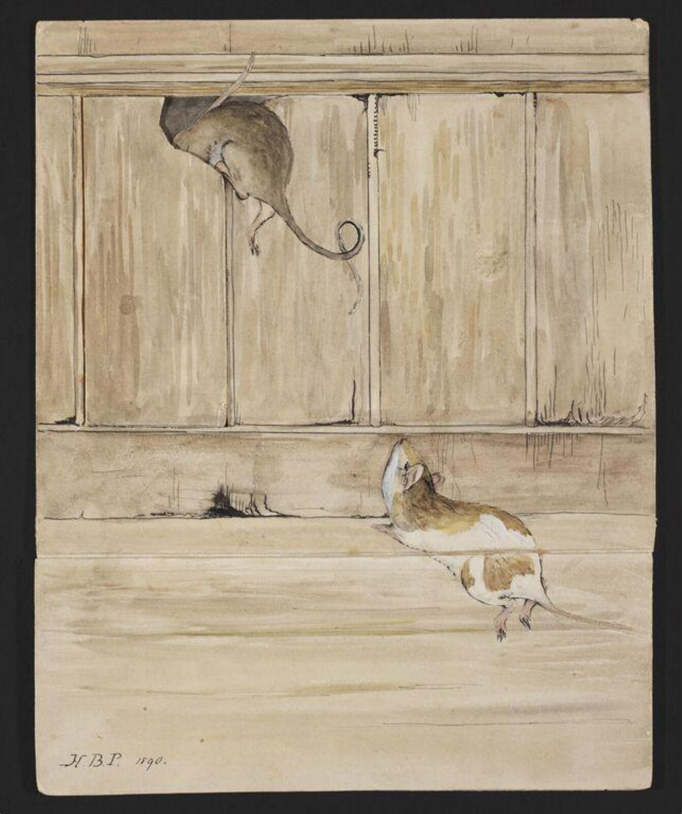 Watercolour, Beatrix Potter, 1890