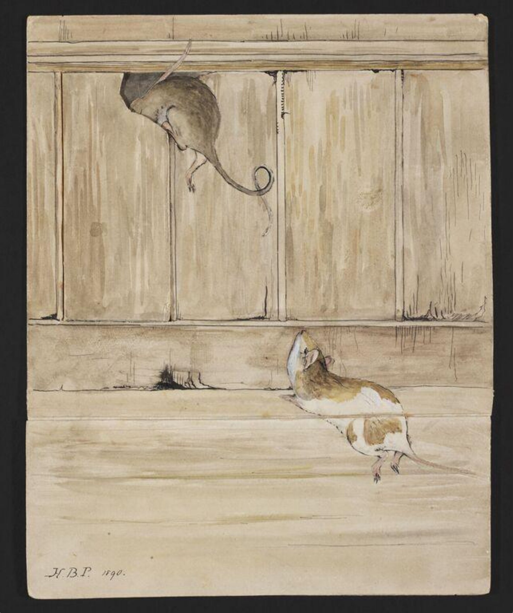 Watercolour, Beatrix Potter, 1890