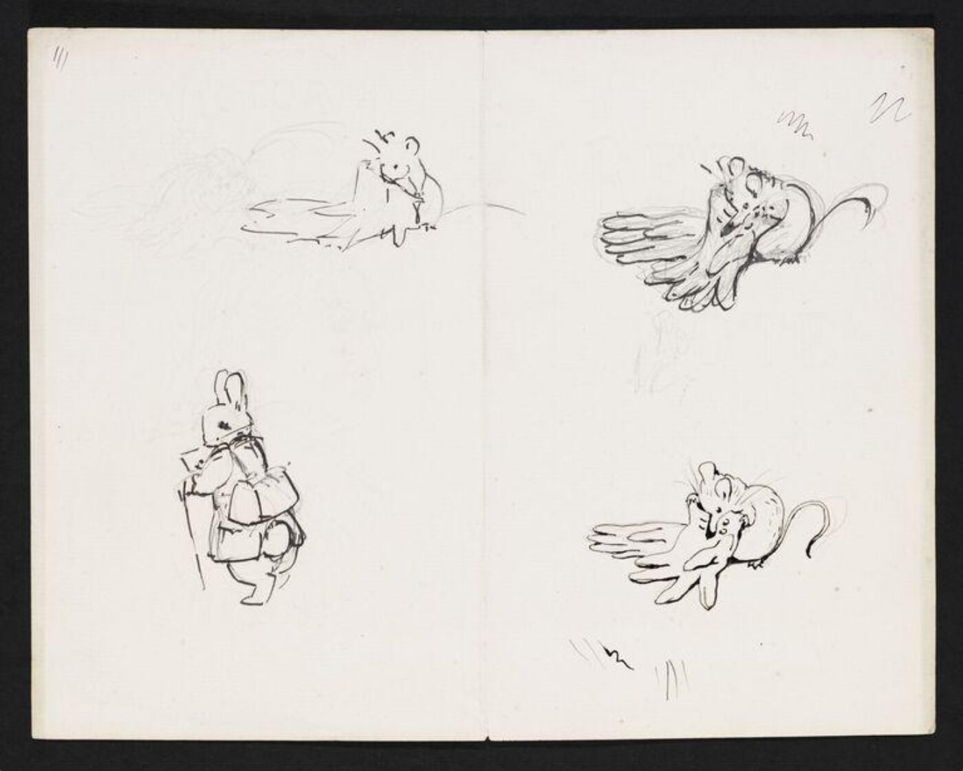 Potter, Beatrix, drawing