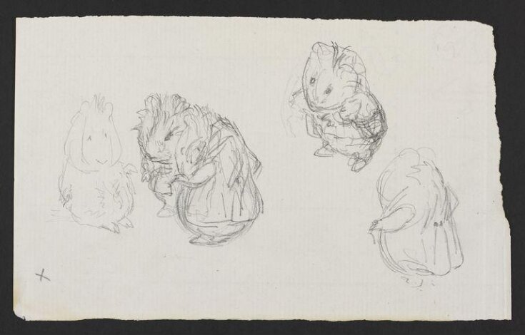 Studies of guinea pigs for a picture story top image