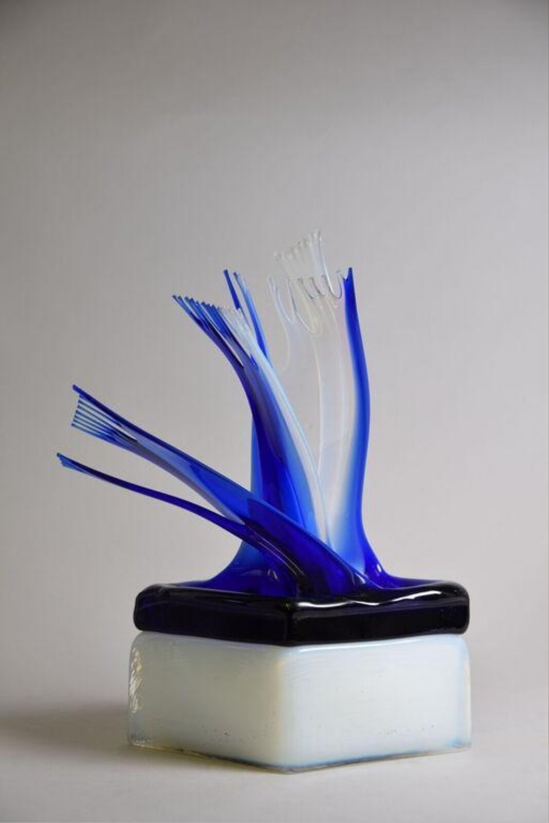 Blue White Wings, Dalibor Tichy, 1980
