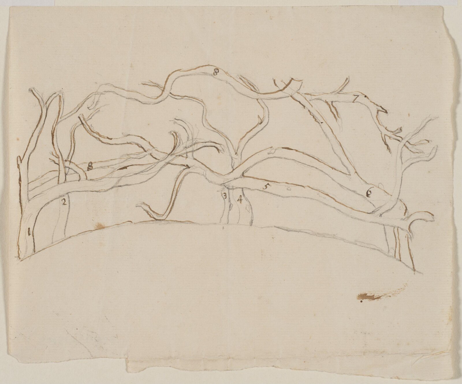Drawing, John Cooke Freeman, ca.1750-60