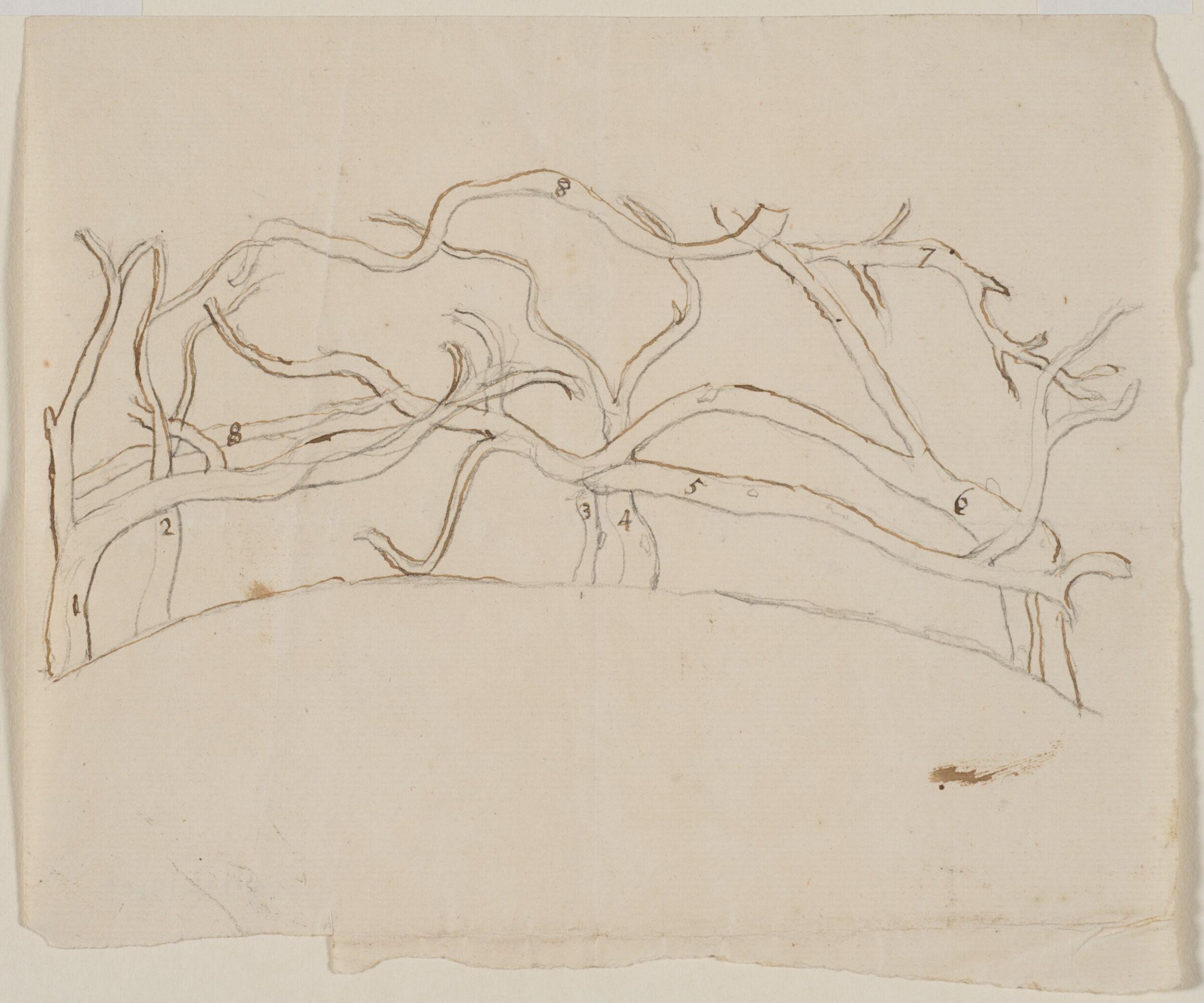 Drawing, John Cooke Freeman, ca.1750-60