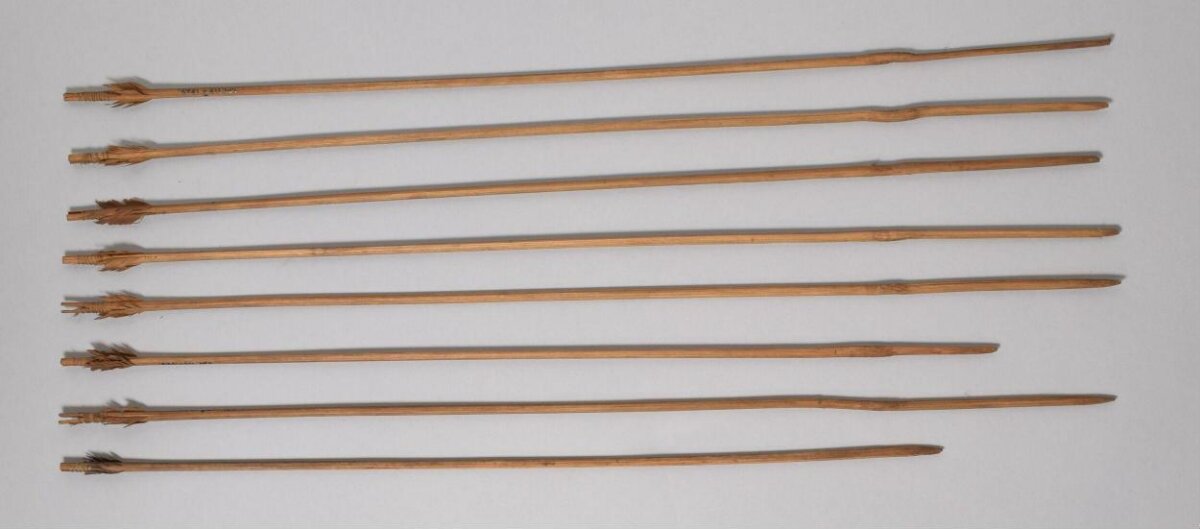 Arrow, 19th century