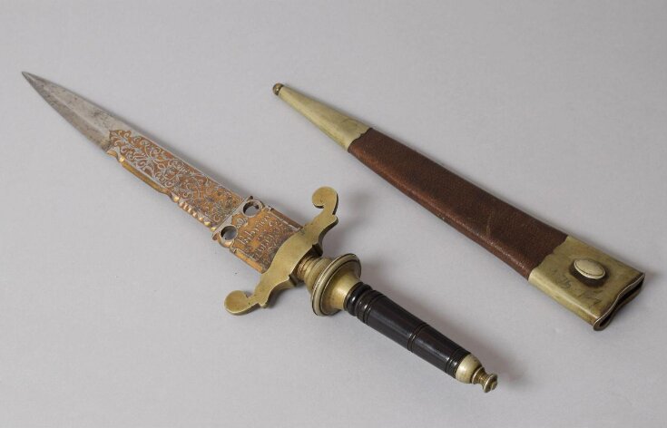 Plug Bayonet and Sheath top image