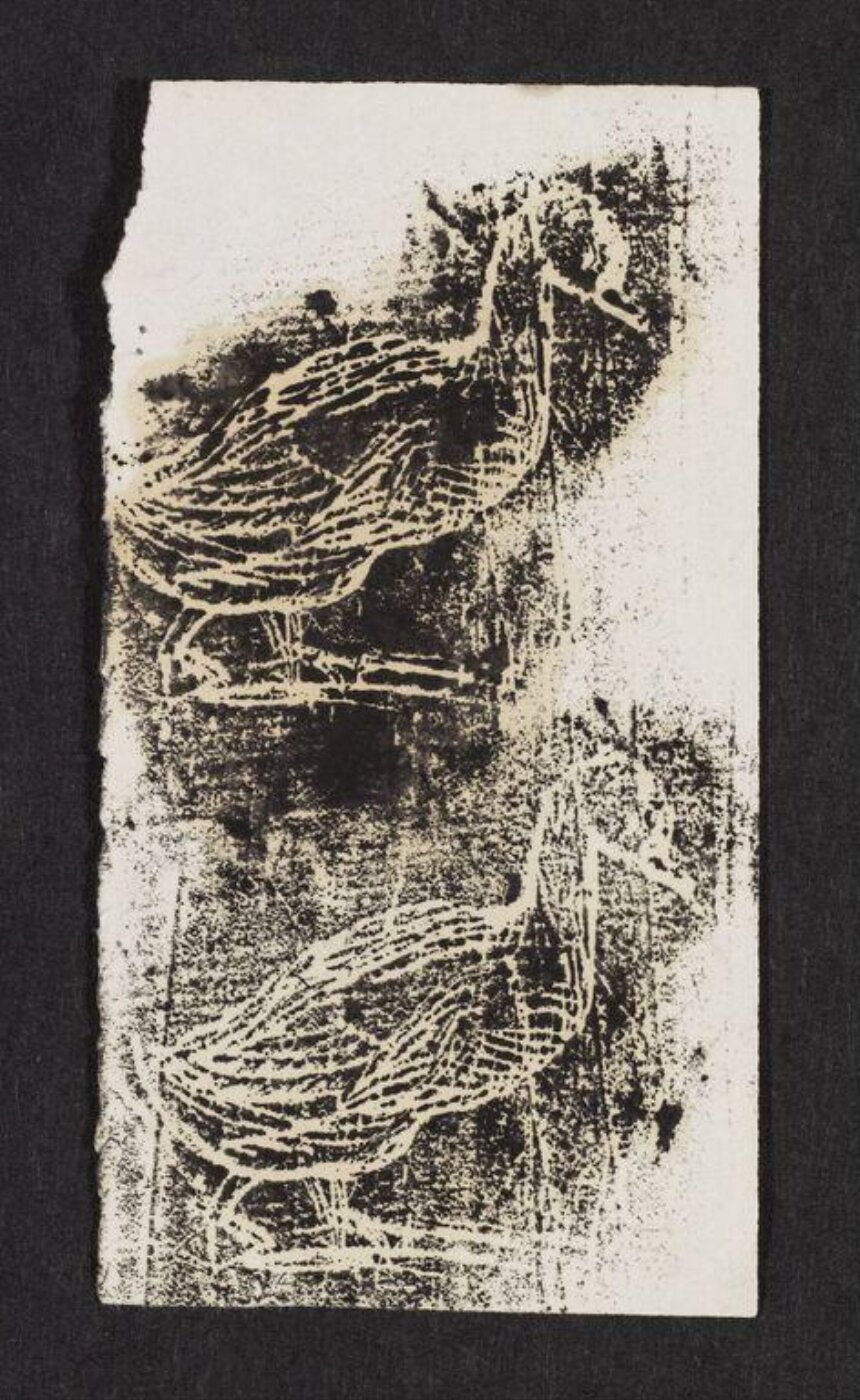 Potter, Beatrix, Print