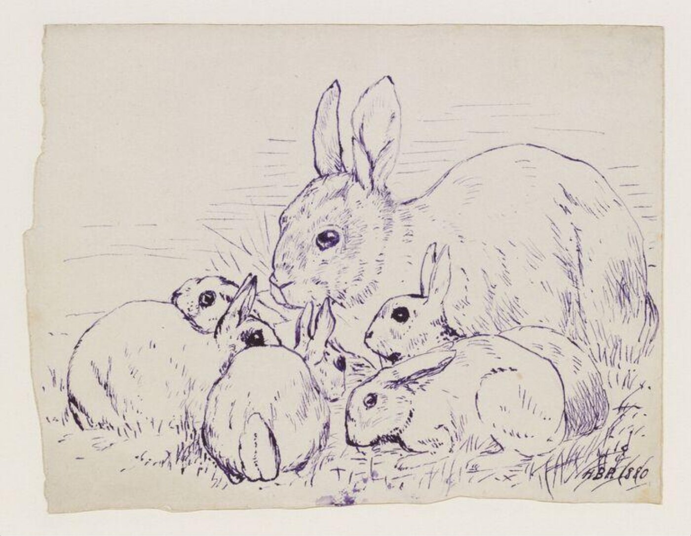 Potter, Beatrix, Wild rabbit and young