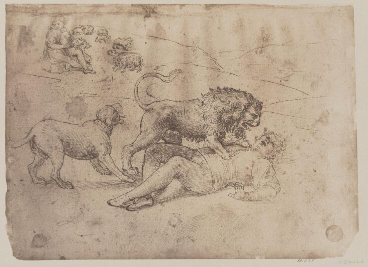 A man attacked by a lion image