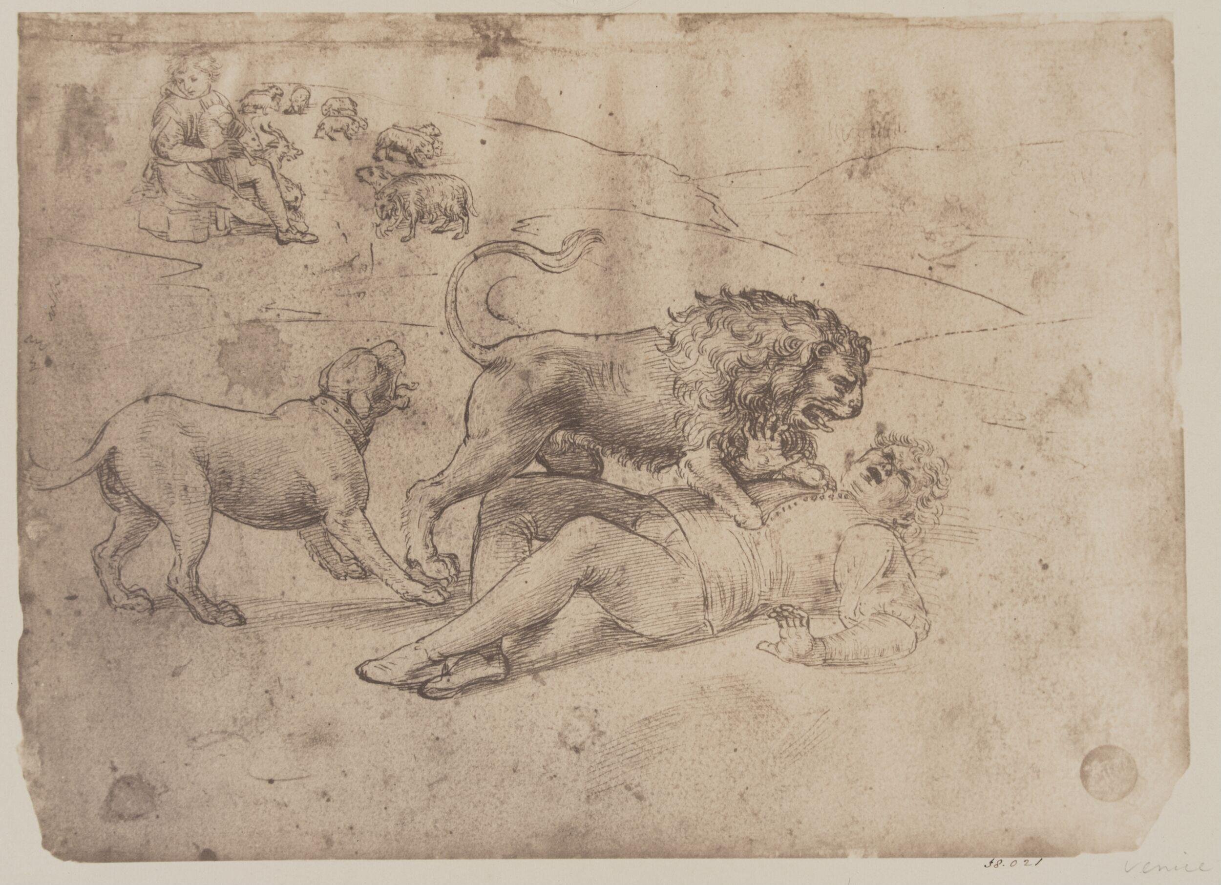 A man attacked by a lion