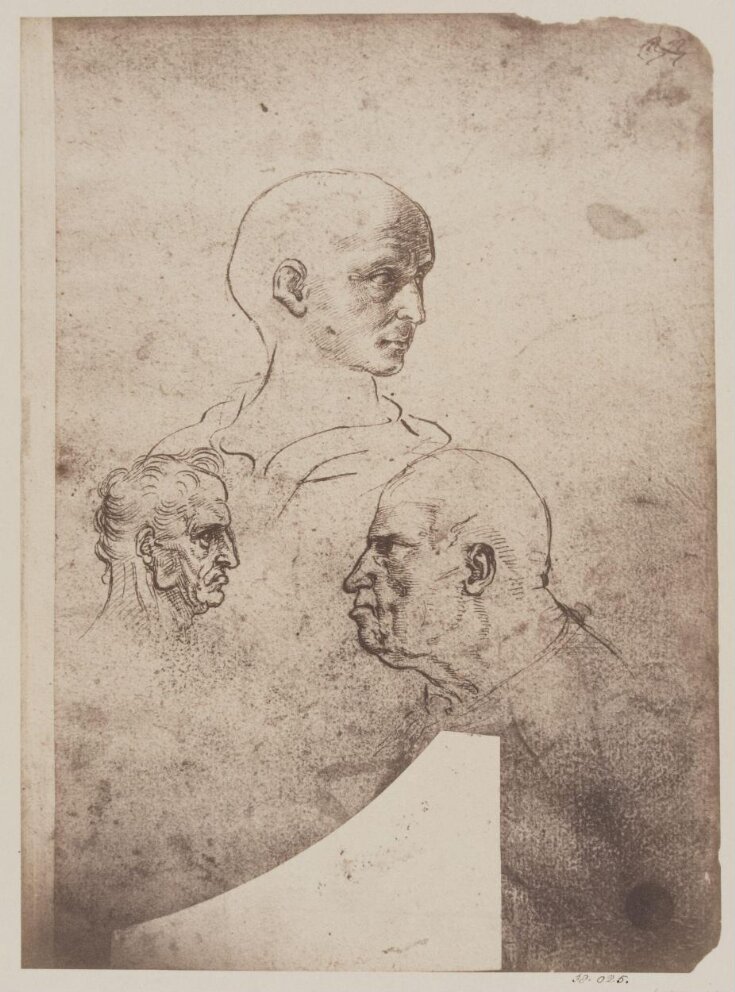 Studies of male heads top image