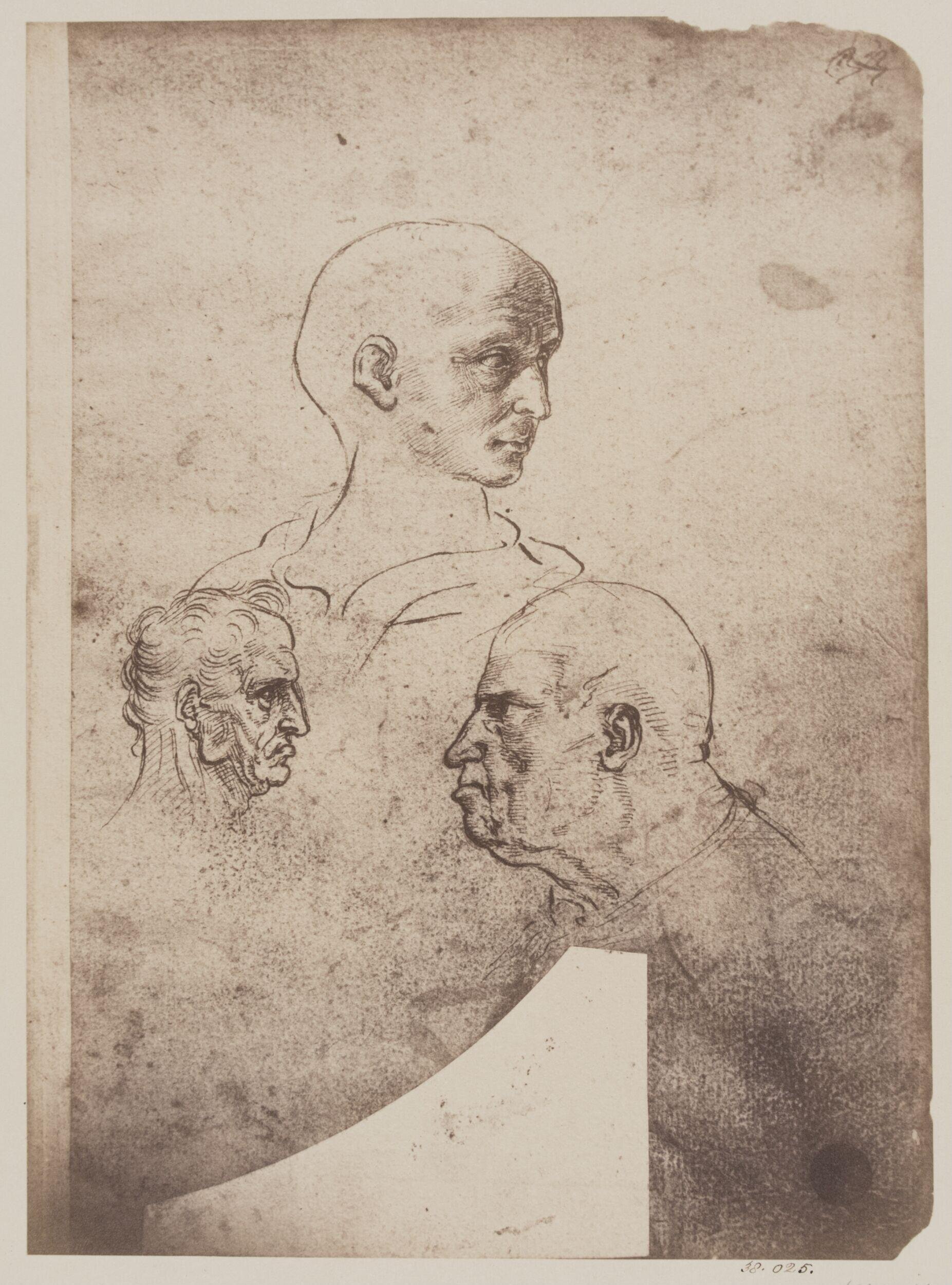 Studies of male heads