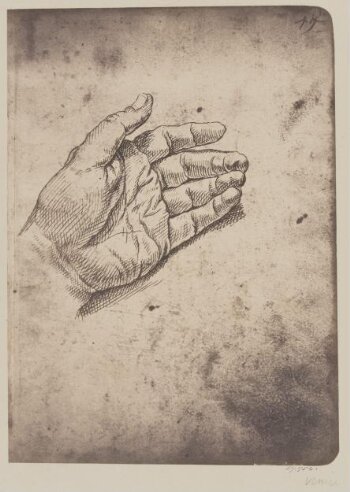 Study of a hand