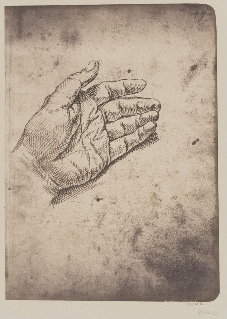 Study of a hand top image