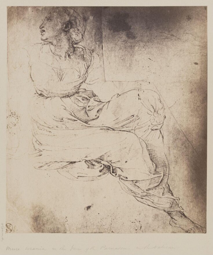 Study for the muse Urania image