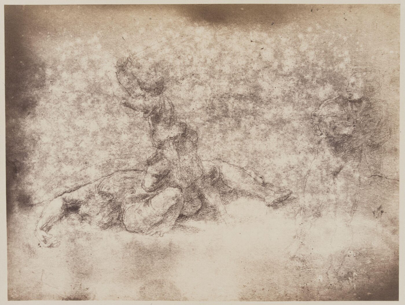 Fratelli Alinari, Photograph