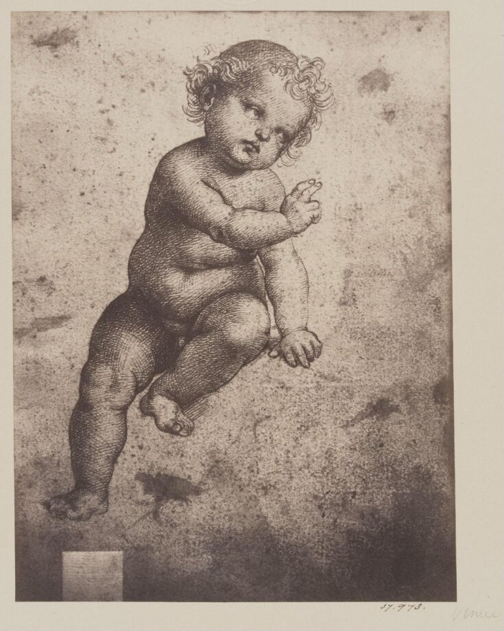 Study for the Infant Christ image
