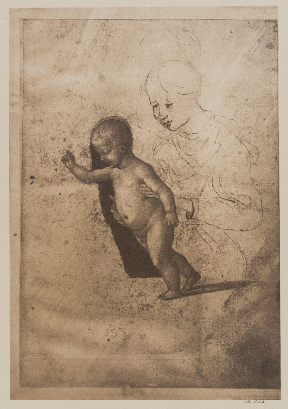 Fratelli Alinari, Photograph