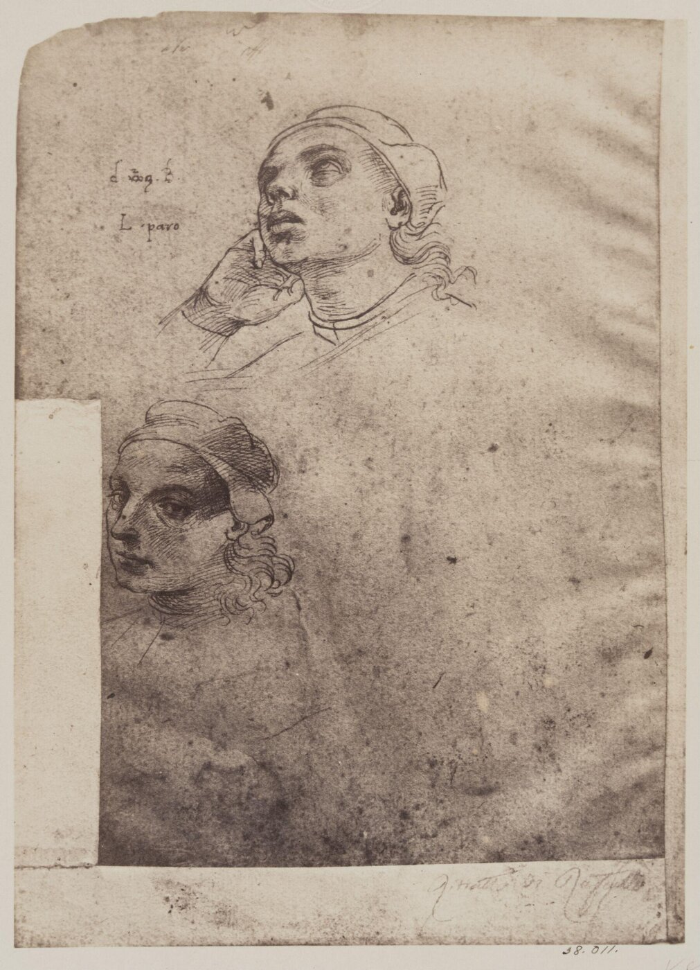 Fratelli Alinari, Photograph