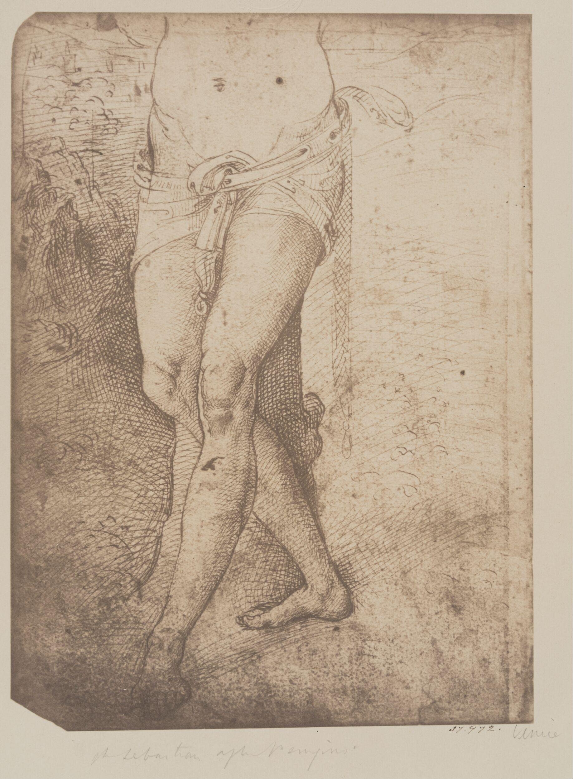 Portion of the figure of St. Sebastian, after Perugino