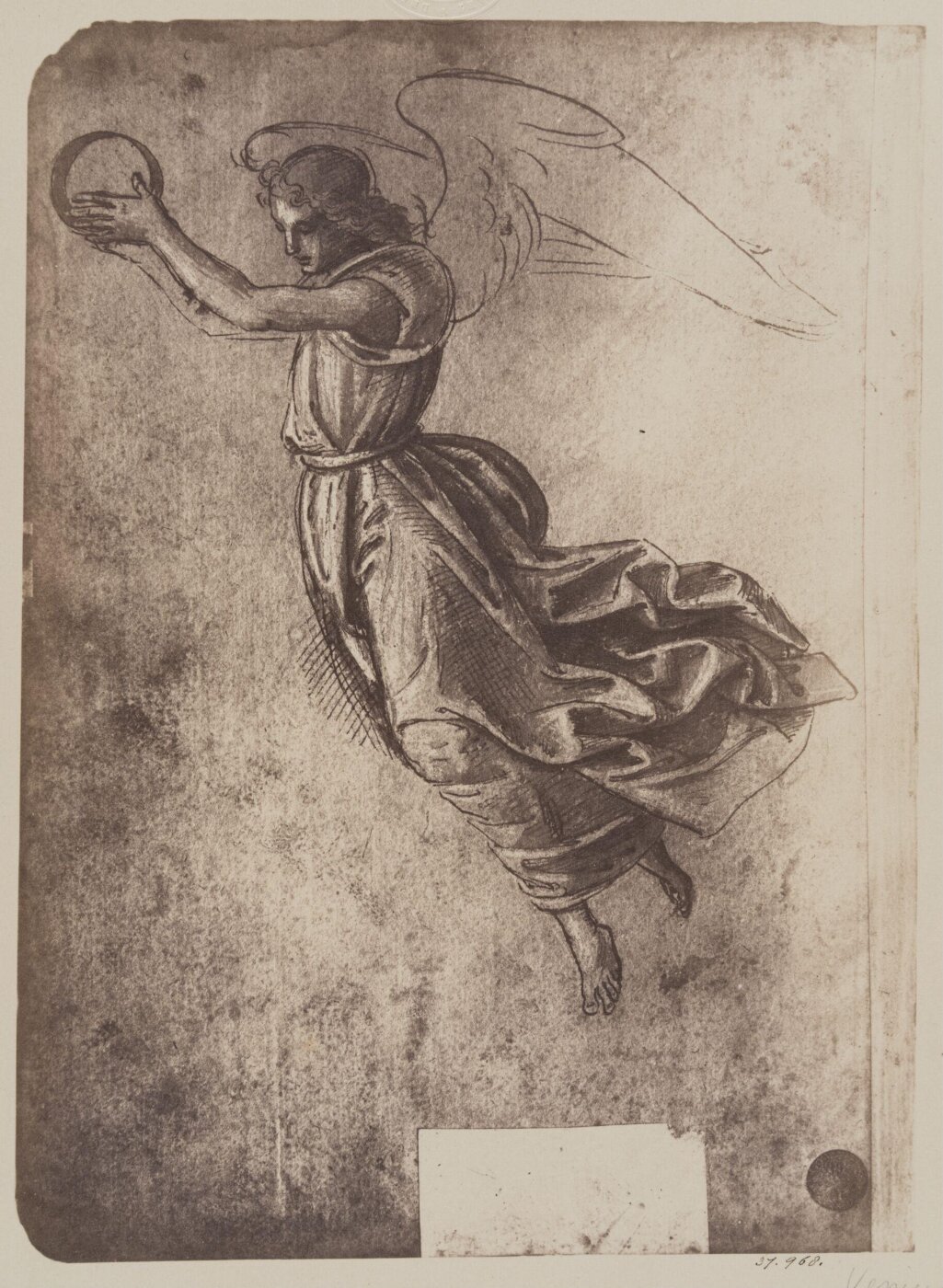Fratelli Alinari, An angel