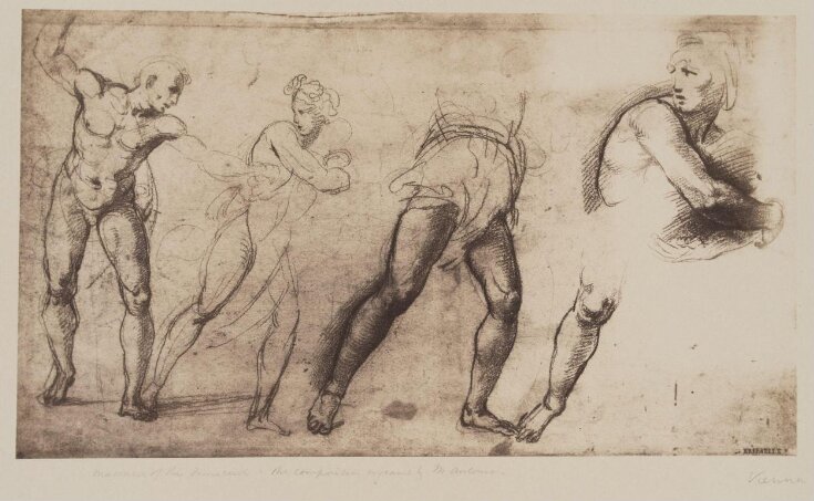 Studies for the massacre of the Innocents image