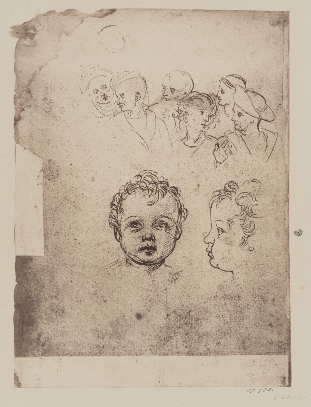 Fratelli Alinari, Photograph