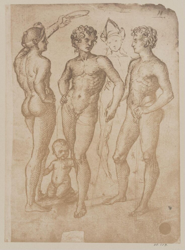 Studies of nude figures image