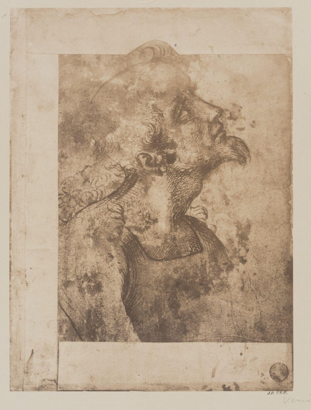 Fratelli Alinari, Photograph