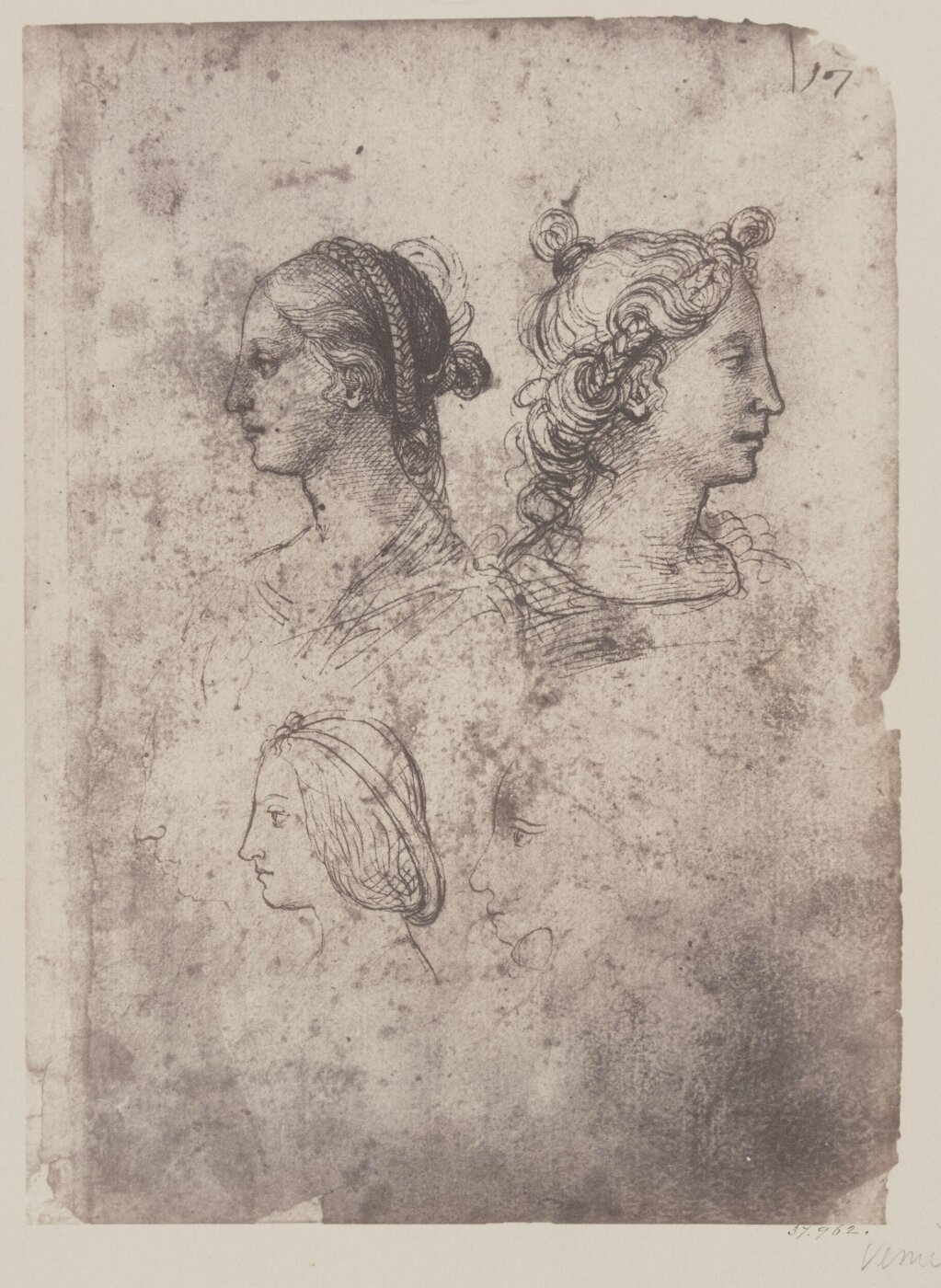 Fratelli Alinari, Studies of female heads