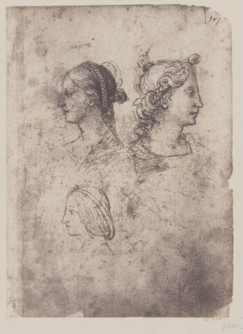 Studies of female heads