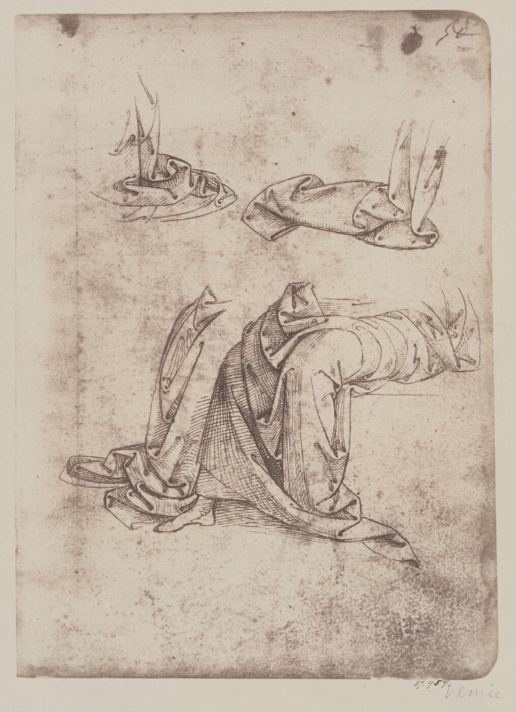 Fratelli Alinari, Studies of drapery