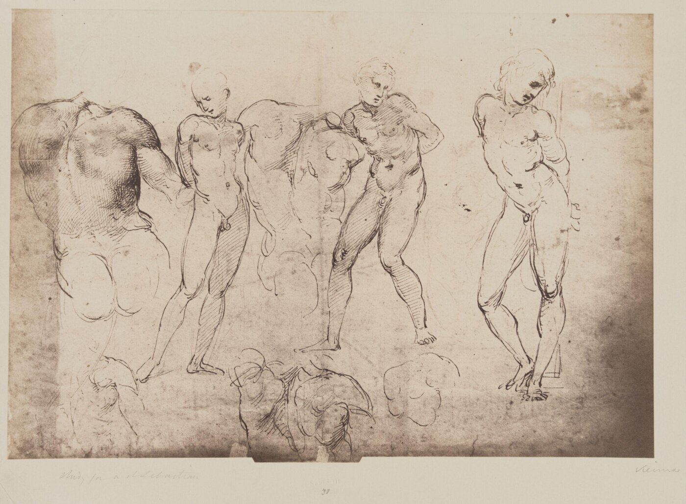 Fratelli Alinari, Photograph