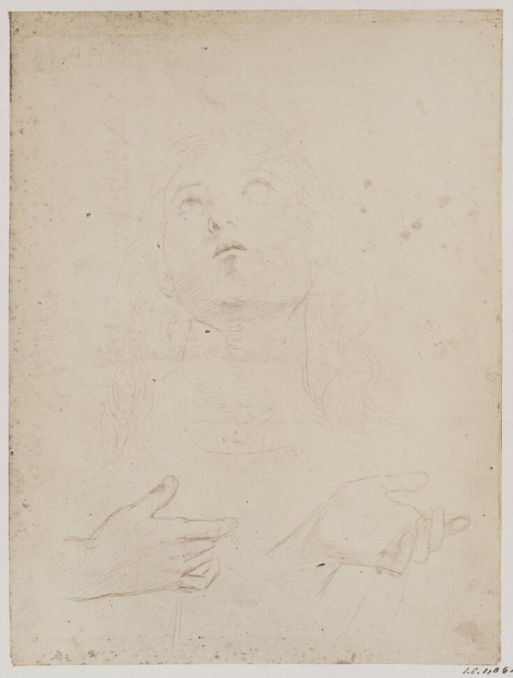 Study for St. Thomas in the picture Coronation of the Virgin top image