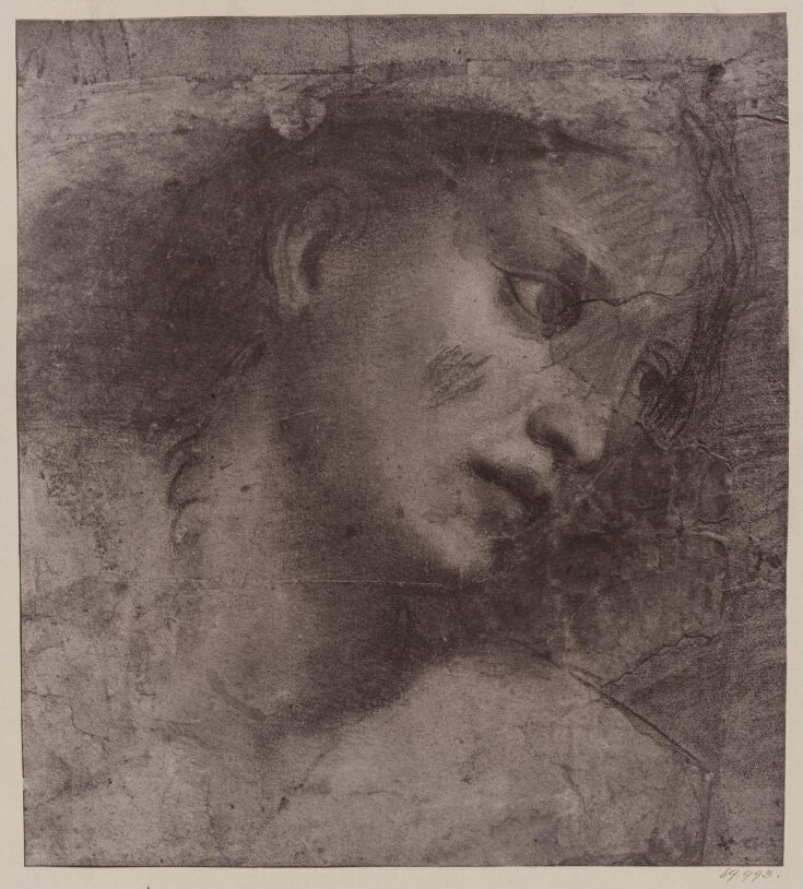 Head of a woman top image