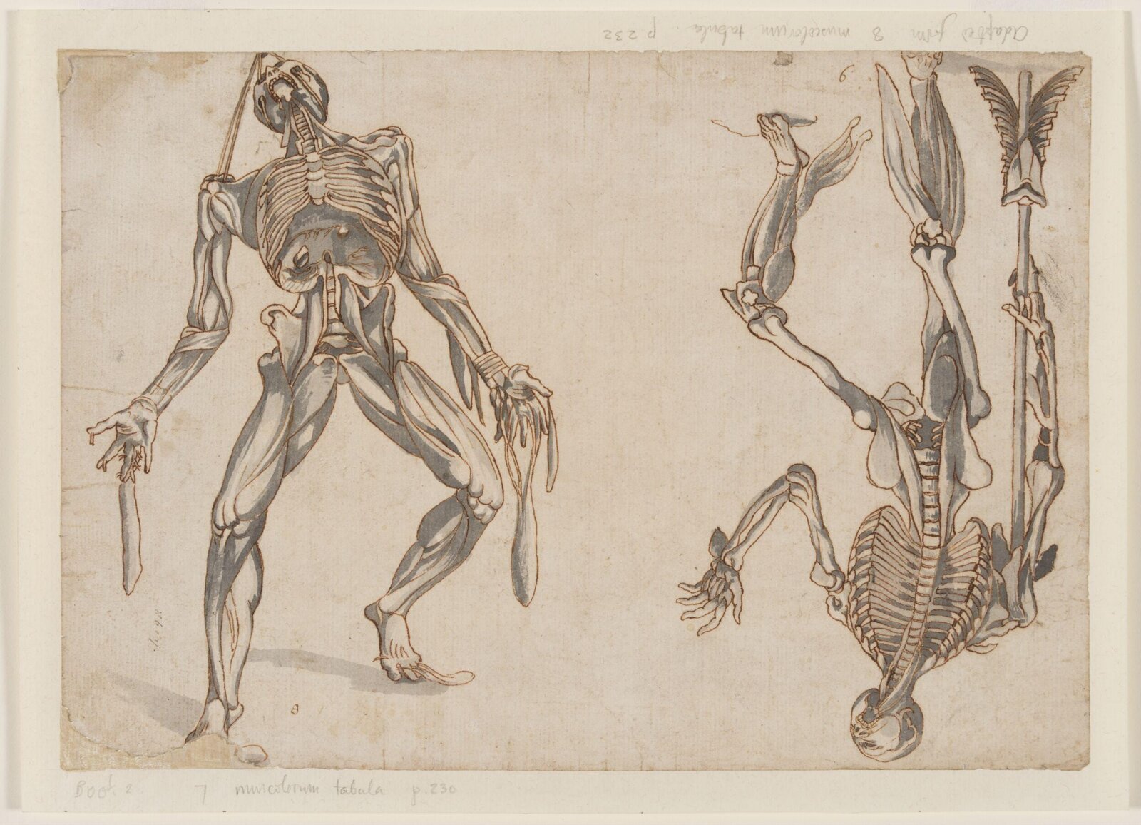 Drawing